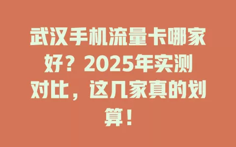 武汉手机流量卡哪家好？2025年实测对比，这几家真的划算！