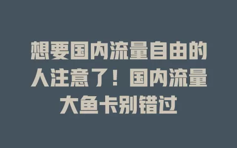 想要国内流量自由的人注意了！国内流量大鱼卡别错过