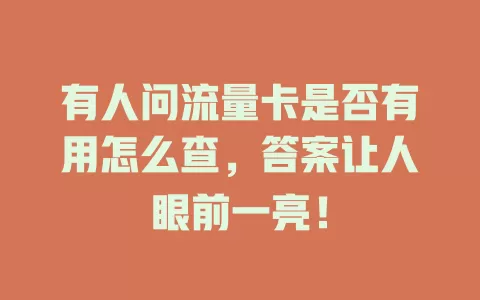 有人问流量卡是否有用怎么查，答案让人眼前一亮！
