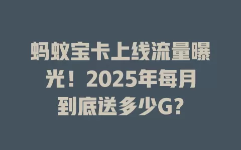 蚂蚁宝卡上线流量曝光！2025年每月到底送多少G？