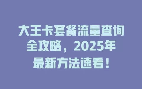 大王卡套餐流量查询全攻略，2025年最新方法速看！