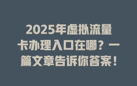 2025年虚拟流量卡办理入口在哪？一篇文章告诉你答案！