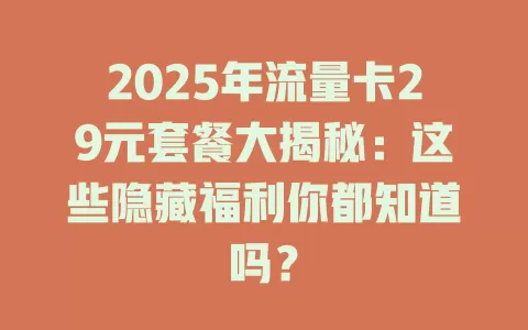 2025年流量卡29元套餐大揭秘：这些隐藏福利你都知道吗？