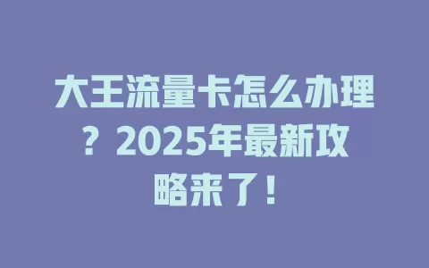 大王流量卡怎么办理？2025年最新攻略来了！