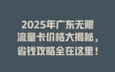 2025年广东无限流量卡价格大揭秘，省钱攻略全在这里！