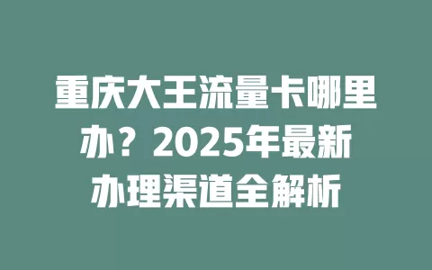 重庆大王流量卡哪里办？2025年最新办理渠道全解析