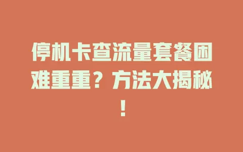 停机卡查流量套餐困难重重？方法大揭秘！