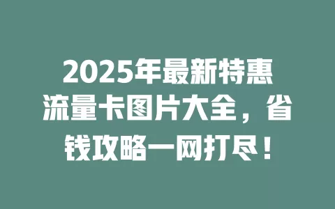 2025年最新特惠流量卡图片大全，省钱攻略一网打尽！
