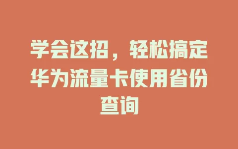 学会这招，轻松搞定华为流量卡使用省份查询