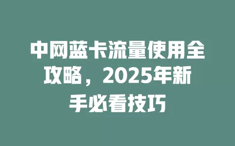 中网蓝卡流量使用全攻略，2025年新手必看技巧