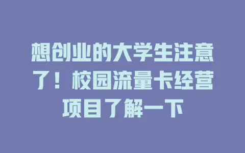 想创业的大学生注意了！校园流量卡经营项目了解一下