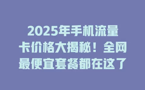 2025年手机流量卡价格大揭秘！全网最便宜套餐都在这了