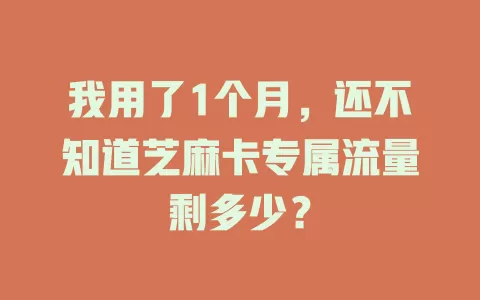 我用了1个月，还不知道芝麻卡专属流量剩多少？