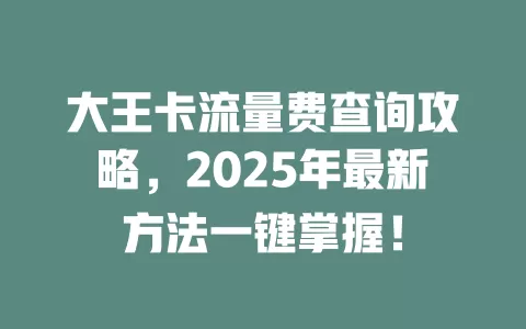 大王卡流量费查询攻略，2025年最新方法一键掌握！