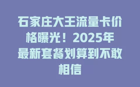 石家庄大王流量卡价格曝光！2025年最新套餐划算到不敢相信