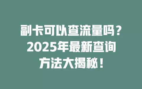 副卡可以查流量吗？2025年最新查询方法大揭秘！