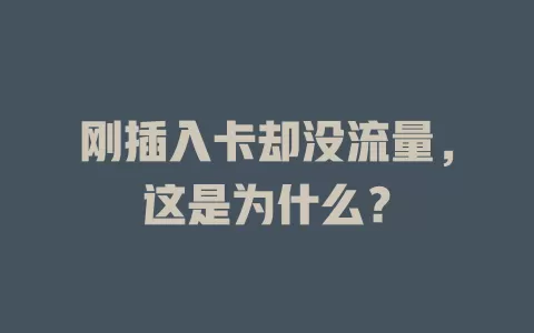 刚插入卡却没流量，这是为什么？