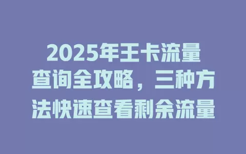 2025年王卡流量查询全攻略，三种方法快速查看剩余流量