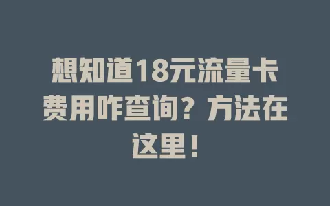 想知道18元流量卡费用咋查询？方法在这里！