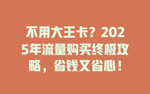 不用大王卡？2025年流量购买终极攻略，省钱又省心！