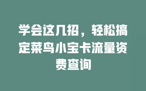 学会这几招，轻松搞定菜鸟小宝卡流量资费查询