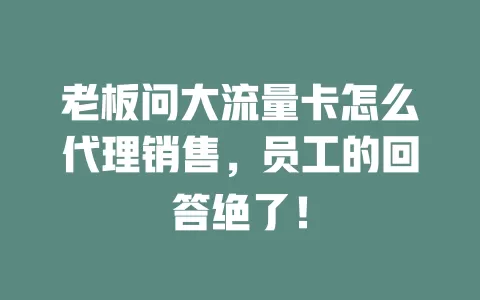 老板问大流量卡怎么代理销售，员工的回答绝了！