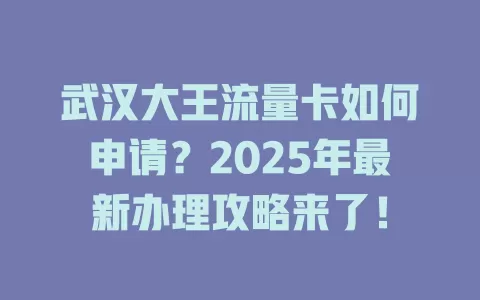 武汉大王流量卡如何申请？2025年最新办理攻略来了！