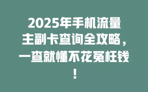 2025年手机流量主副卡查询全攻略，一查就懂不花冤枉钱！
