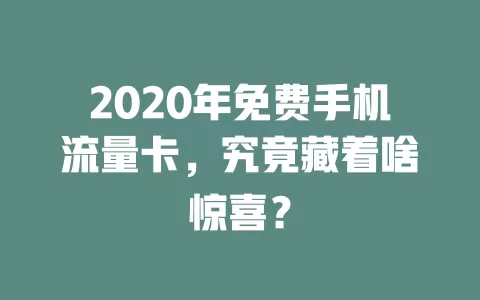 2020年免费手机流量卡，究竟藏着啥惊喜？