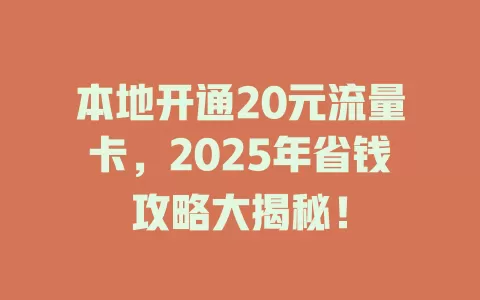 本地开通20元流量卡，2025年省钱攻略大揭秘！
