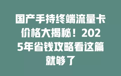 国产手持终端流量卡价格大揭秘！2025年省钱攻略看这篇就够了