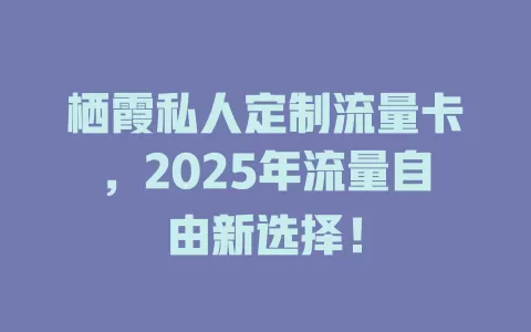 栖霞私人定制流量卡，2025年流量自由新选择！