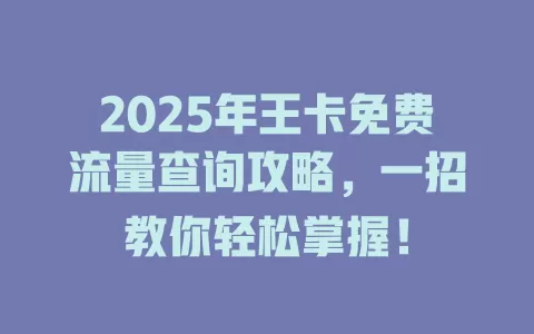 2025年王卡免费流量查询攻略，一招教你轻松掌握！