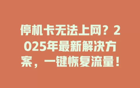 停机卡无法上网？2025年最新解决方案，一键恢复流量！