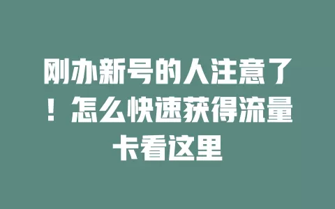 刚办新号的人注意了！怎么快速获得流量卡看这里