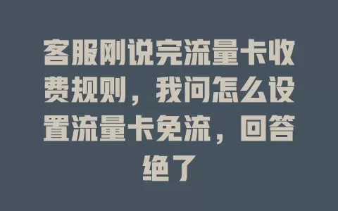 客服刚说完流量卡收费规则，我问怎么设置流量卡免流，回答绝了