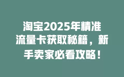 淘宝2025年精准流量卡获取秘籍，新手卖家必看攻略！