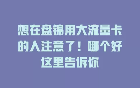 想在盘锦用大流量卡的人注意了！哪个好这里告诉你