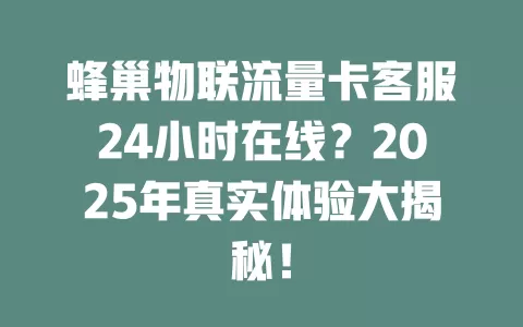 蜂巢物联流量卡客服24小时在线？2025年真实体验大揭秘！