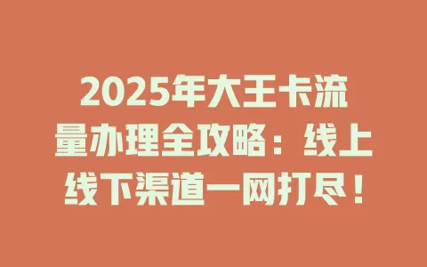 2025年大王卡流量办理全攻略：线上线下渠道一网打尽！