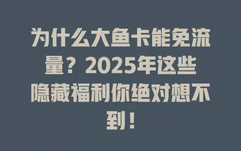 为什么大鱼卡能免流量？2025年这些隐藏福利你绝对想不到！