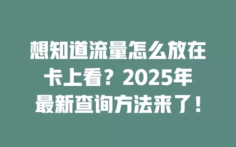 想知道流量怎么放在卡上看？2025年最新查询方法来了！