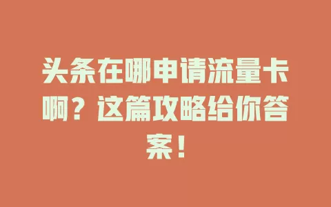头条在哪申请流量卡啊？这篇攻略给你答案！