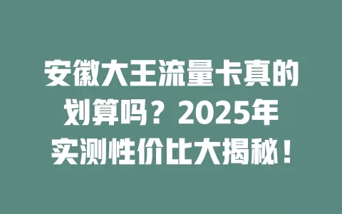 安徽大王流量卡真的划算吗？2025年实测性价比大揭秘！