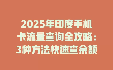 2025年印度手机卡流量查询全攻略：3种方法快速查余额