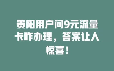 贵阳用户问9元流量卡咋办理，答案让人惊喜！