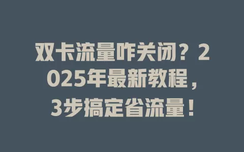 双卡流量咋关闭？2025年最新教程，3步搞定省流量！
