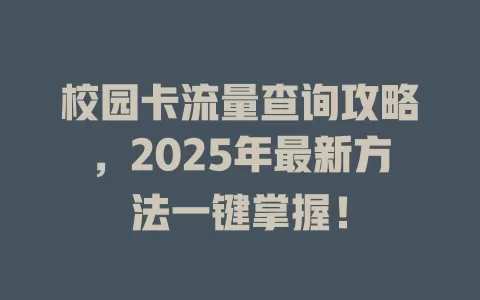 校园卡流量查询攻略，2025年最新方法一键掌握！