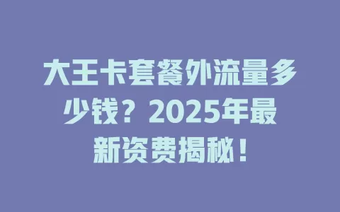 大王卡套餐外流量多少钱？2025年最新资费揭秘！