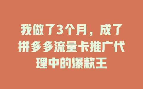 我做了3个月，成了拼多多流量卡推广代理中的爆款王